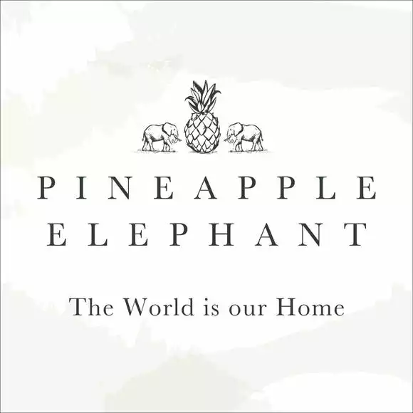 Pineapple Elephant Tufted Grey Diamond 100% Cotton Duvet Cover And Pillowcase Set - Image 5
