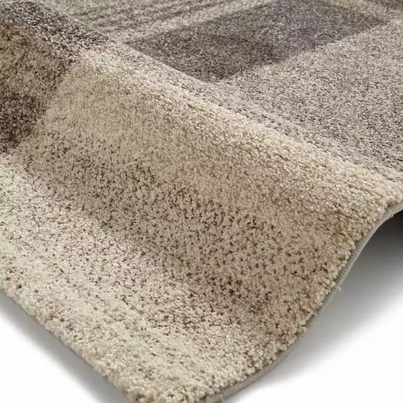 Beige And Grey Elegant 4892 Rug - Image 3
