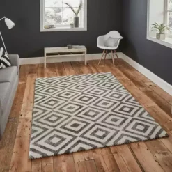 Grey And White Elegant 4893 Rug