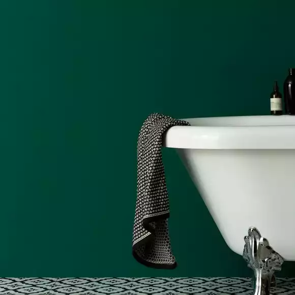 Dunelm Emerald Matt Emulsion Paint