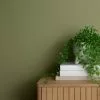 Dunelm Light Moss Matt Emulsion Paint