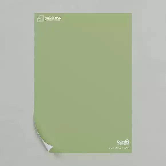 Dunelm Light Moss Matt Emulsion Paint - Image 2