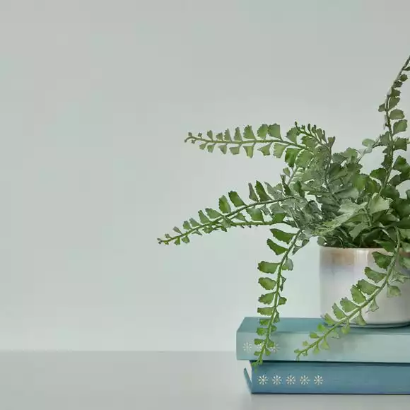 Dunelm Pale Sky Matt Emulsion Paint - Image 6