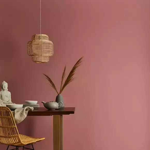 Dunelm Rose Matt Emulsion Paint