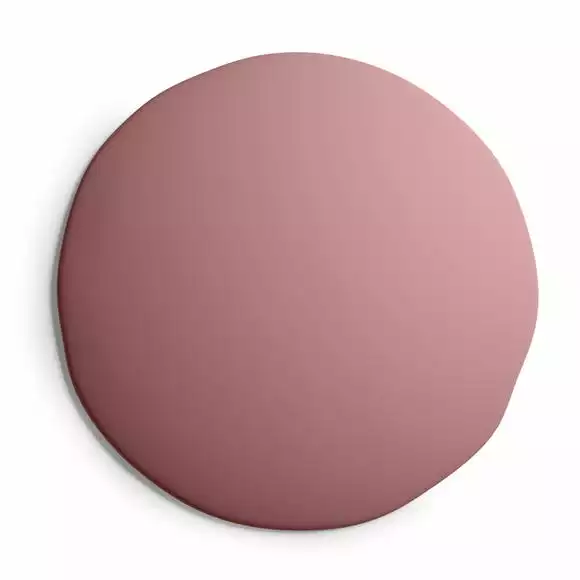 Dunelm Rose Matt Emulsion Paint - Image 3
