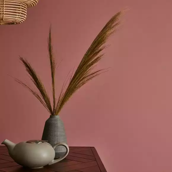 Dunelm Rose Matt Emulsion Paint - Image 5