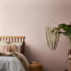 Dunelm Rose Water Matt Emulsion Paint