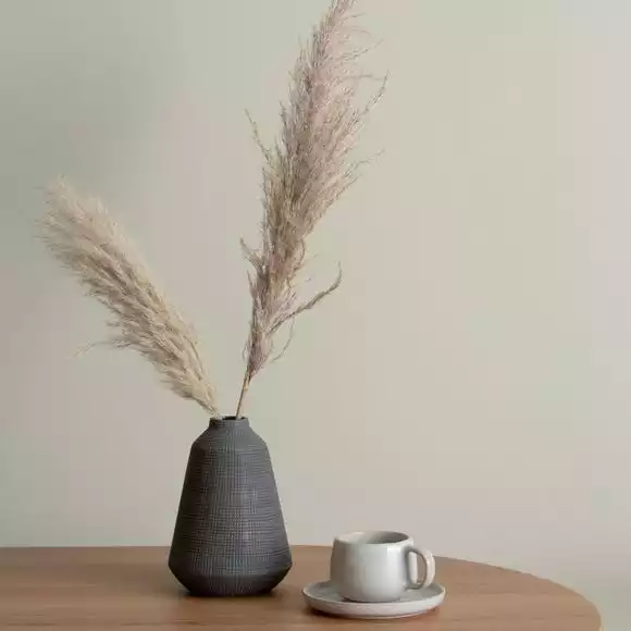 Dunelm Willow Matt Emulsion Paint - Image 6