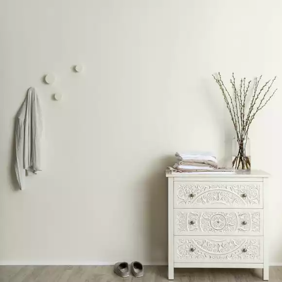 Dunelm Ivory Eggshell Emulsion Paint