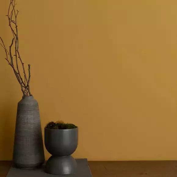 Dunelm Old Gold Eggshell Emulsion Paint - Image 4