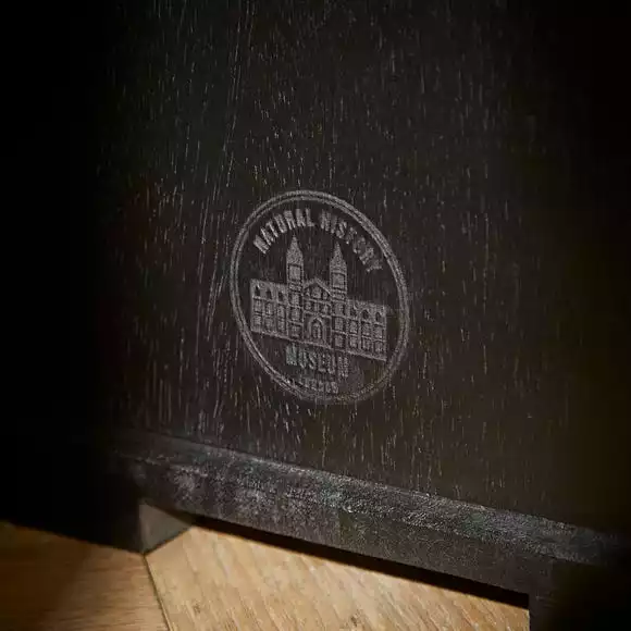 Natural History Museum Small Slim Display Cabinet - Image 5