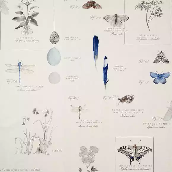 Natural History Museum Nature’s Study White Wallpaper - Image 2