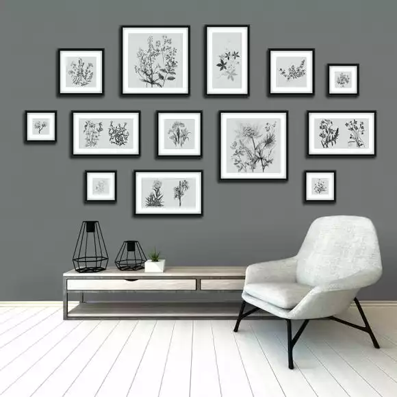 Dunelm Botanical Gallery Wall Grey Mural - Image 2