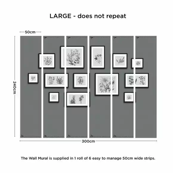 Dunelm Botanical Gallery Wall Grey Mural - Image 3