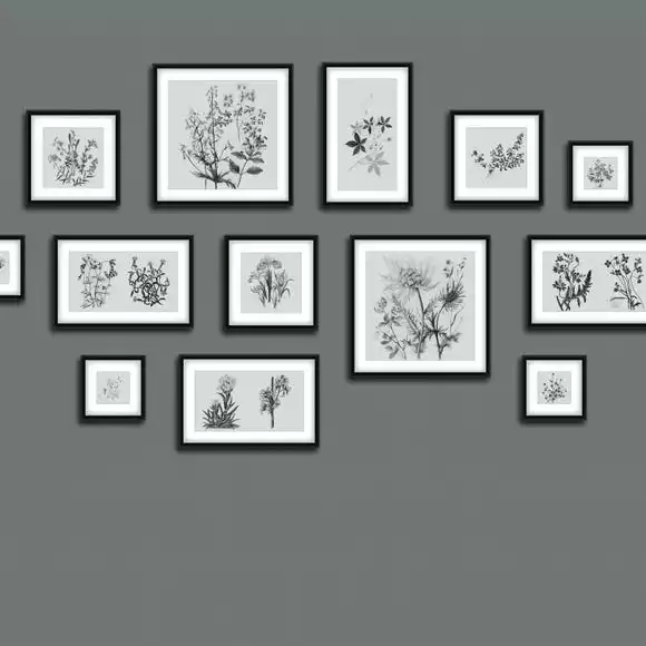 Dunelm Botanical Gallery Wall Grey Mural - Image 4