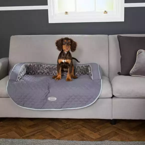 Scruffs Wilton Sofa Dog Bed