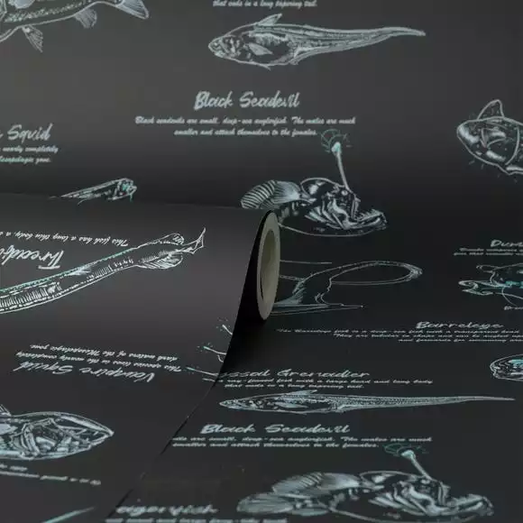 Natural History Museum Sea Creatures Wallpaper - Image 3