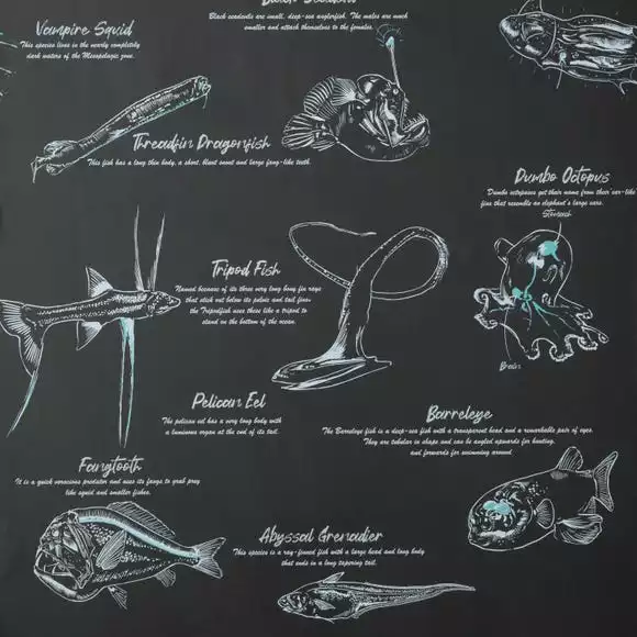 Natural History Museum Sea Creatures Wallpaper - Image 4