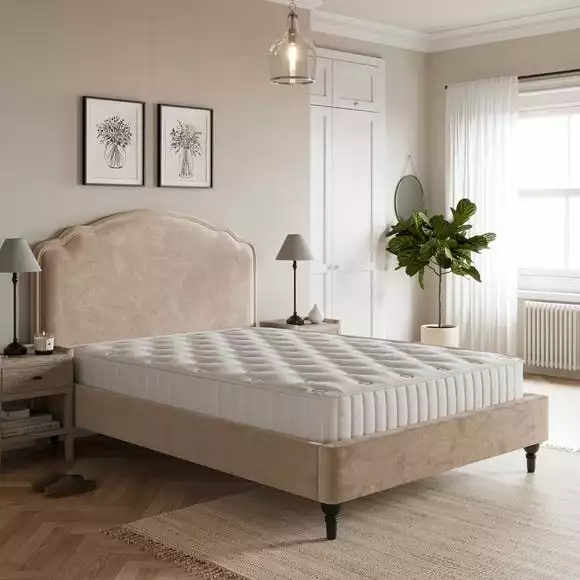 Dunelm Ella Timeless Velvet Bed - Image 3